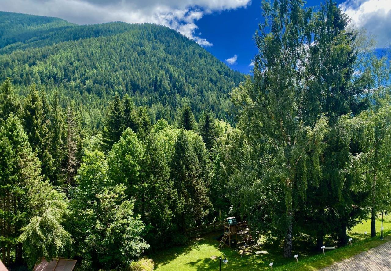 Panorama Rosie Design Chalet Bad Kleinkirchheim Zewnętrze zdjęcie